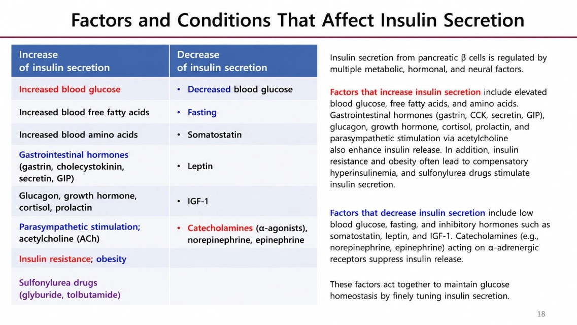Factors and Conditions That Affect Insulin Secretion